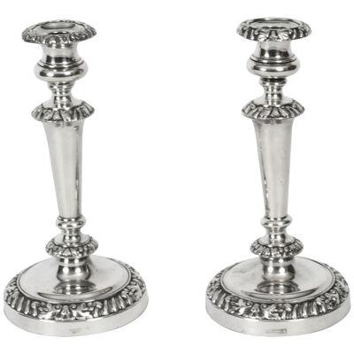Antique Pair Old Sheffield Silver Plated Candlesticks Circa 1820 19th C