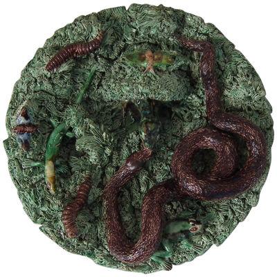 Cuhna Palissy Majolica Lizard and Snake Plate