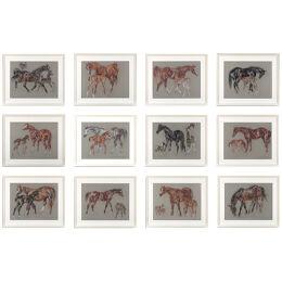 A Fabulous Set Of TWELVE Large Pastel & Pencil Studies Of Mares & Foals