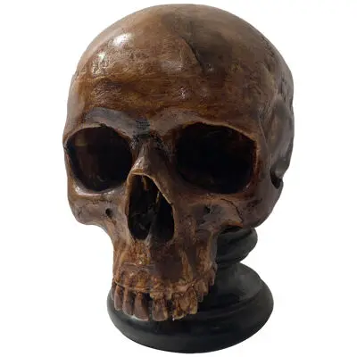 Terracotta sculpture of a human skull