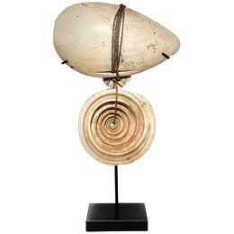 Object in Shell from Papua-New-guinea