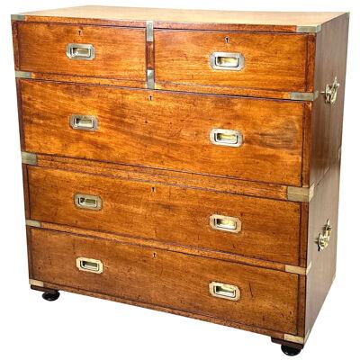 Mahogany & Camphor Military Campaign Chest Of Drawers