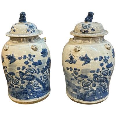Pair of Early 20th Century Chinese Blue and White Porcelain Jars
