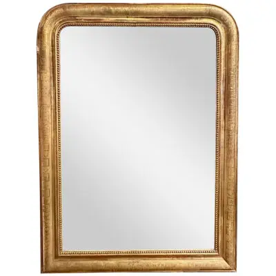 19th Century Carved and Giltwood Louis Philippe Mirror