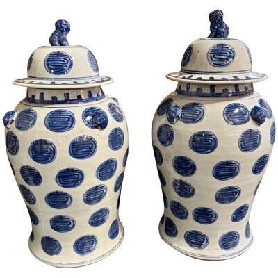 Vintage Blue and White Porcelain Vases