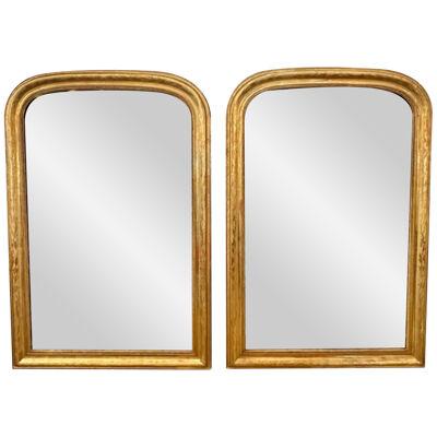 19th Century Pair of Gold Leaf Louis Philippe Mirrors with Floral Pattern