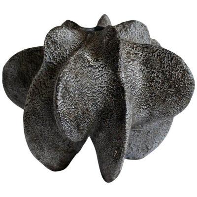 Charcoal Petal Gourd I by Julie Nelson