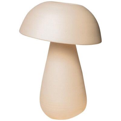 Small Mushroom Lamp by Nick Pourfard