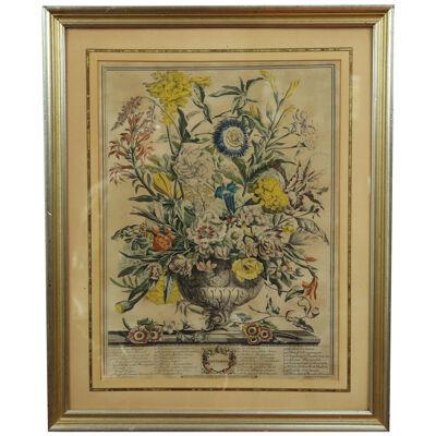 AW7-012: C 1730 Robert Furber - September Floral Calendar Hand Colored Etching