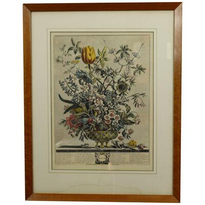 AW7-013: C 1730 Robert Furber - February Floral Calendar Hand Colored Etching