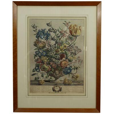 AW7-016: C 1730 Robert Furber - April Floral Calendar Hand Colored Etching