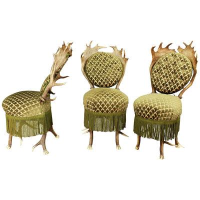 Set of Three Victorian Antler Parlor Chairs, Austria ca. 1880