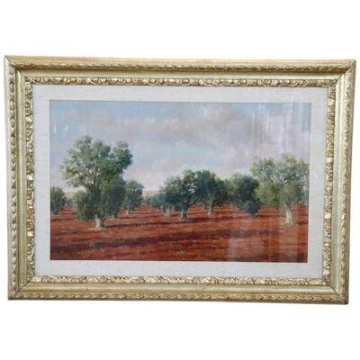 Oil Painting on Canvas Italian Landscape with Olive Trees