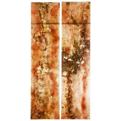 PAIR OF LARGE FRENCH 1950’s ACRYLIC ABSTRACT PANELS GOLD LEAF