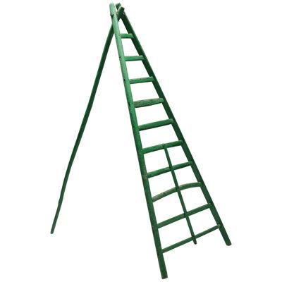 Objet Trouvé Green Fruit Picking Ladder - 1890's