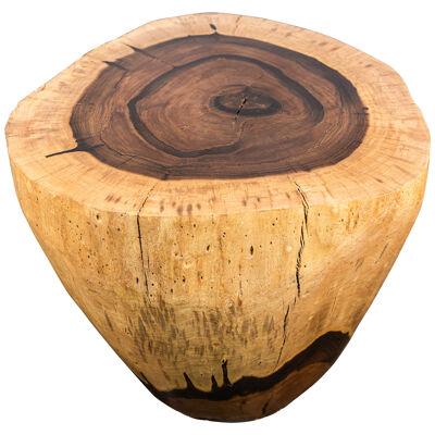 Carved Trunk Solid Exotic Wood Live Edge Table, Francisco - In Stock 