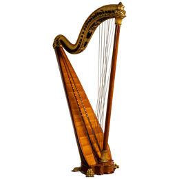 Chromatic Double Harp, Pleyel, Lyon & Cie, Paris, circa 1900