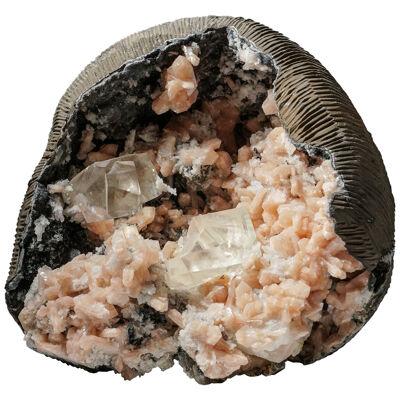 Apophyllite Geode with Stilbite and Golden Calcite From Maharashtra, India
