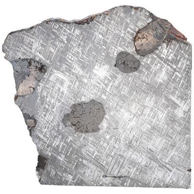 Genuine Large Muonionalusta Meteorite Slice (14.5 lbs)