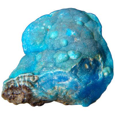 Gem Blue Cobalt Smithsonite from Democratic Republic of the Congo