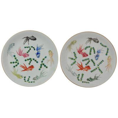 Pair Antique 19/20C Chinese Porcelain plates Goldfishes Qianlong Marked