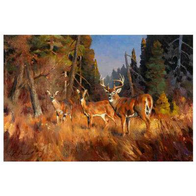 Autumn Forest Original Oil Painting by Greg Parker
