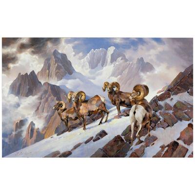 "Rams of the Wind River" by Greg Parker