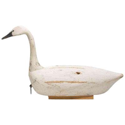 Life Size Swan Decoy by Reggie Birch