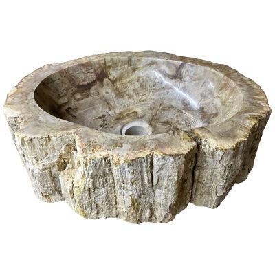 Petrified Wood Sink Beige/ Brown/ Grey Tones, Polished - Top Quality
