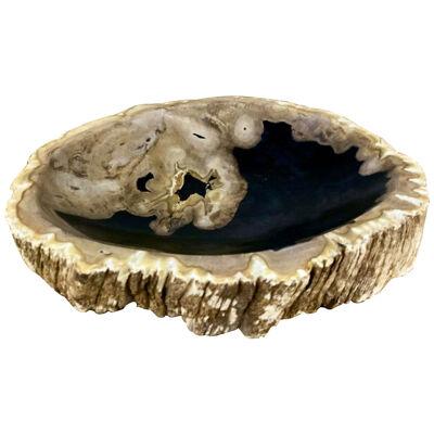 Petrified Wood Bowl in Beige/ Grey/ Black Tones - Top Quality