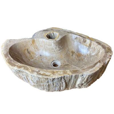 Petrified Wood Sink In Grey/ Beige Tones, Top Quality, Organic Modern, 2021