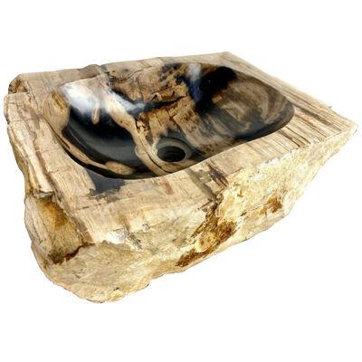 Petrified Wood Sink, Top Quality in Creme, Brown and Black Tones, 2021