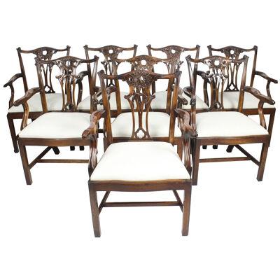 Vintage Set of 8 Chippendale Revival Arm Chairs 20th Century