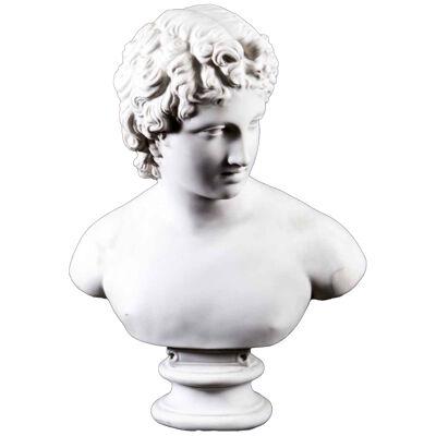 Stunning Marble Bust of a Roman Youth