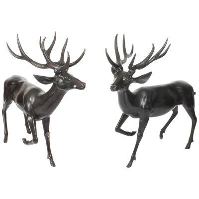 Pair of Bronze Life Size Fallow Deer Stags Late 20th Century