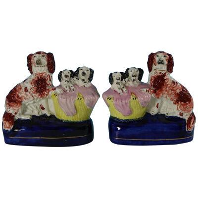Pair Staffordshire Spaniel and Pups in Wash Baskets
