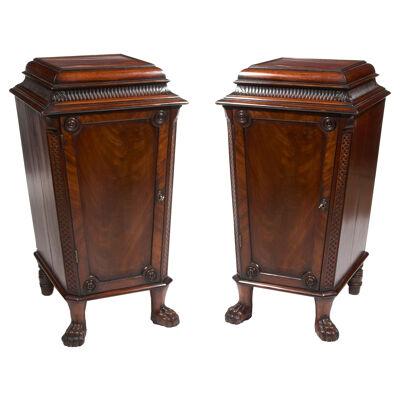 19th Century Regency Pair of Mahogany Pedestal Cabinets