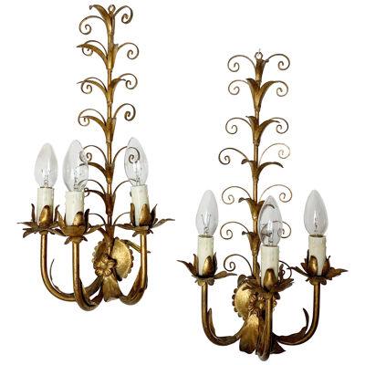 Pair of Curled leaf Gilt French Wall Lights circa 1960's