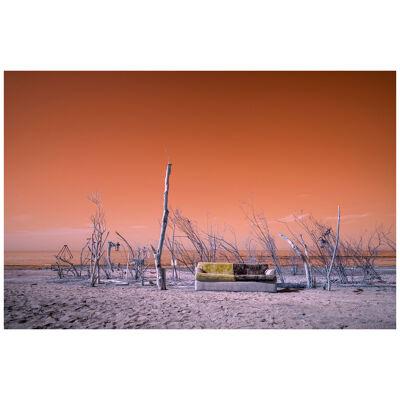 Sofa at Salton Sea by Mark Hannah