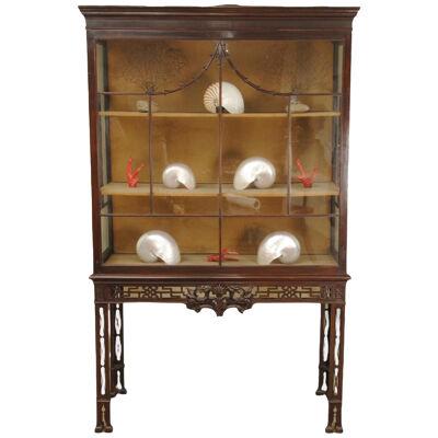 19th Century Chippendale Design Display Cabinet 