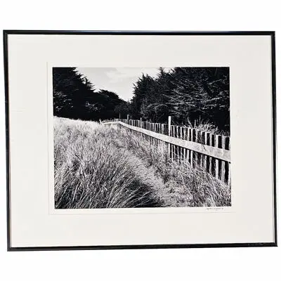 Michael Wayman, "Trail and Fence — Sea Road", dated 1991/2