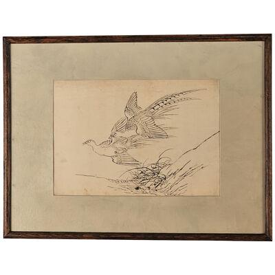 Sketch of Pheasants, Japan circa 1850