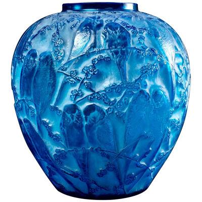 1919 René Lalique - Vase Perruches Electric Blue Glass With White Patina