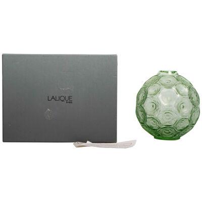 Lalique France - Anemones Light Green Clear Glass Vase - New With Box