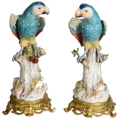 Rare pair of 19th Century, ormolu mounted Meissen Parrots. 49cm