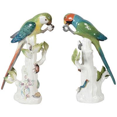 Pair 19th Century Meissen Parrots.