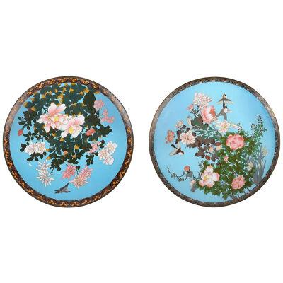 Matched pair of 19th Century Japanese Cloisonné chargers. 45cm (17.5") dia