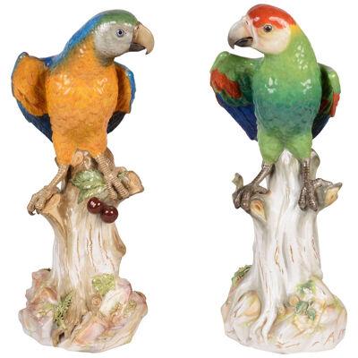 A large and impressive pair of Meissen parrots, circa 1890, 43cm high