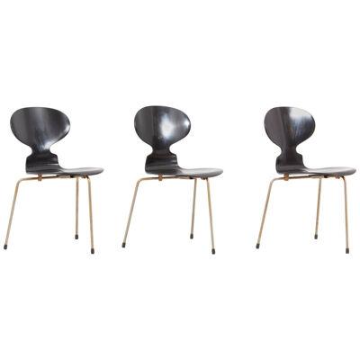 Set of 3 Black Arne Jacobsen Ant Chairs for Fritz Hansen, Denmark, 1950s
