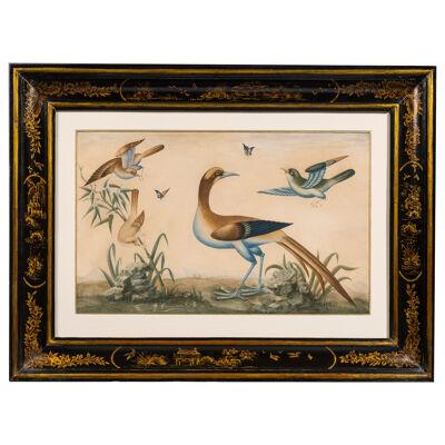 18th century study of birds